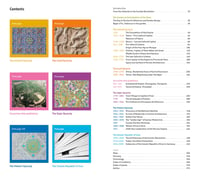 Image 2 of IRAN architectural guide