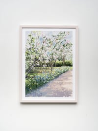 Image 3 of APPLE BLOSSOM - GICLÉE PRINT