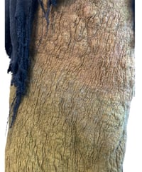 Image 2 of The Forest Spirit Dress