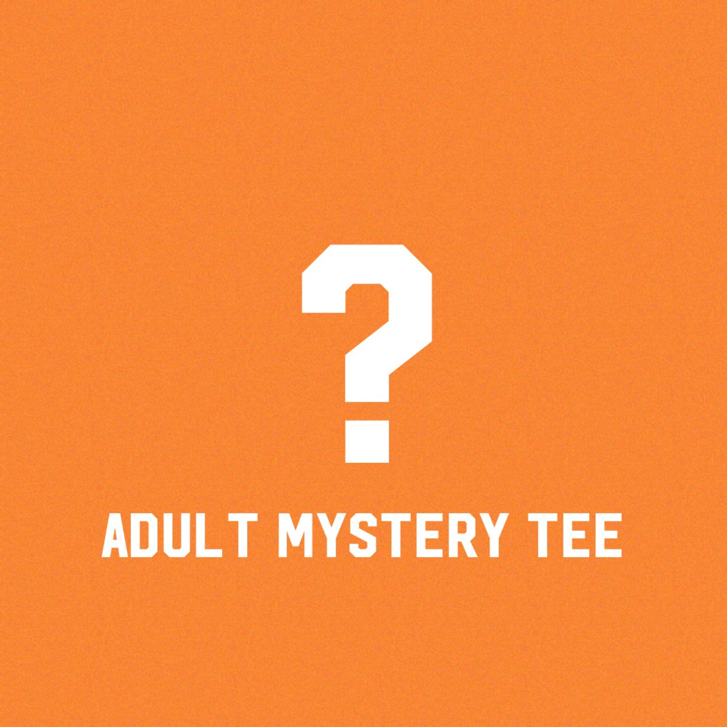 Image of 2023 Adult Mystery Tee 