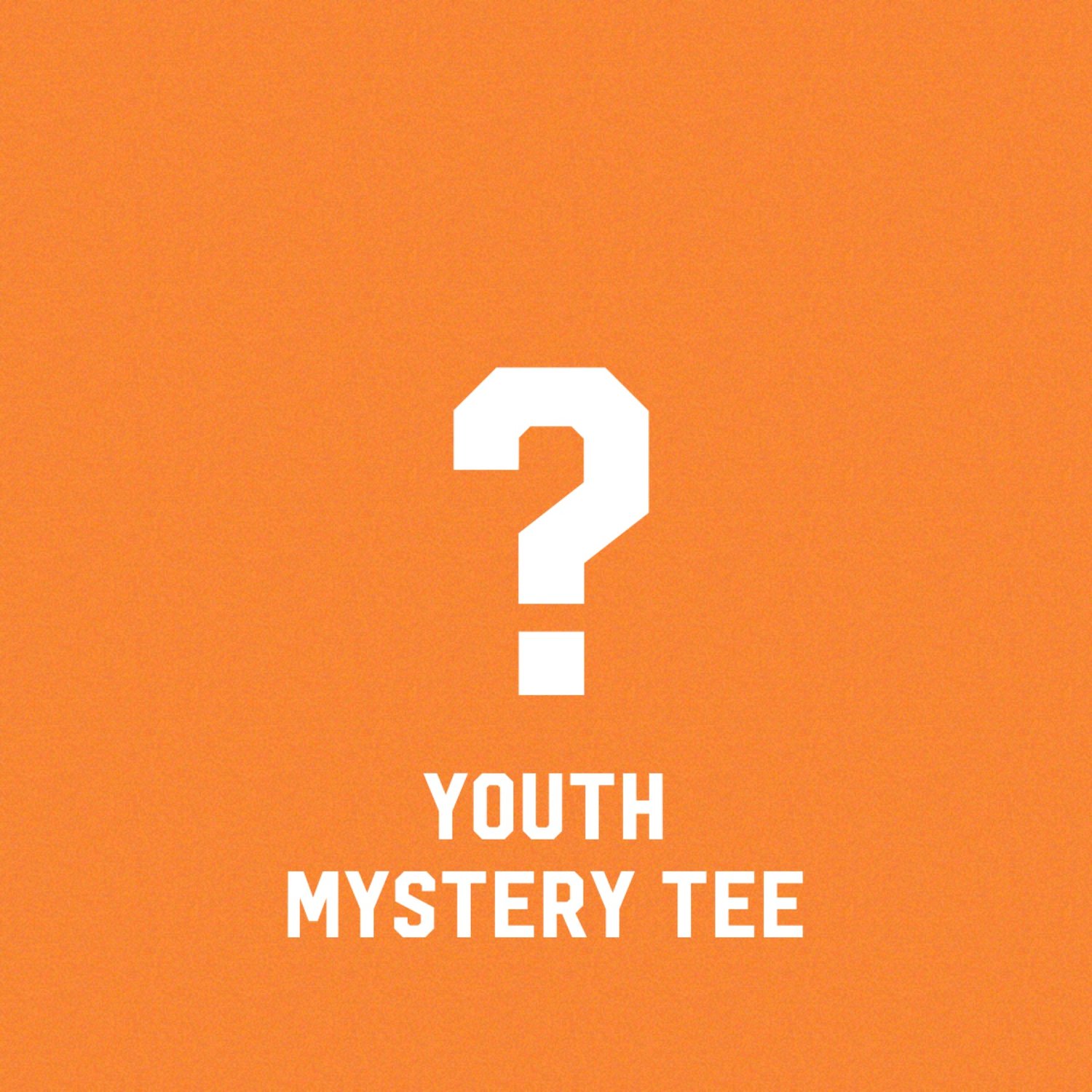 Image of 2023 YOUTH Mystery Tee 