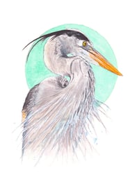 Blue Heron print