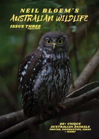 Image 1 of Neil Bloem's Australian Wildlife ISSUE THREE (2023)