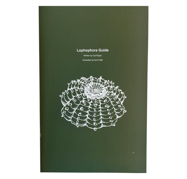 Lophaphora Guide