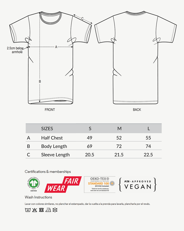 Camiseta del faro regular fit Image 5