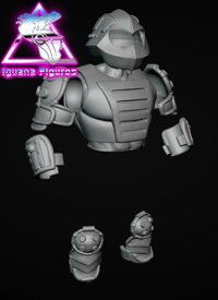 Image 2 of Royal guard armor kit