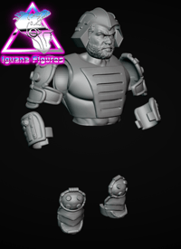 Image 3 of Royal guard armor kit