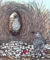 'Mating Time II' (Multiple coloured linocut and woodcut of the Great Bowerbird)