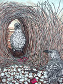 'Mating Time II' (Multiple coloured linocut and woodcut of the Great Bowerbird)