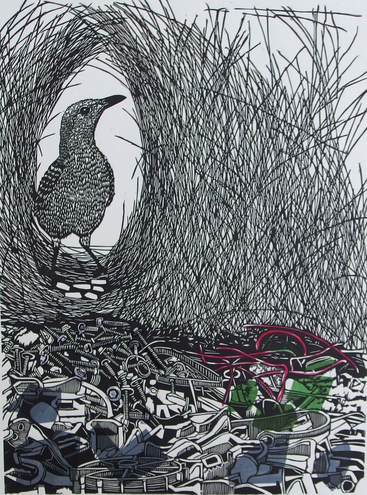 Image of 'Suburban Treasures' (linocut of the Great Bowerbird