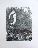 'Suburban Treasures' (linocut of the Great Bowerbird