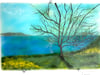 Mylor