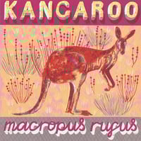 KANGAROO