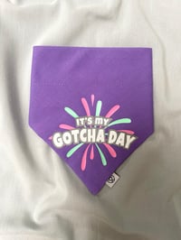 Image 1 of It’s my Gotcha Day Firework 