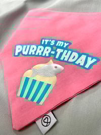 Image 2 of It’s My Purrr-thday 
