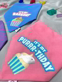 Image 3 of It’s My Purrr-thday 