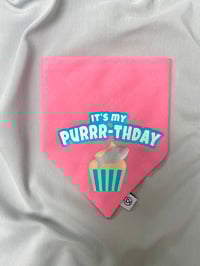 Image 1 of It’s My Purrr-thday 