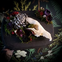 Image 1 of Partial Coyote plaque