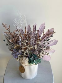 Image 2 of lilac everlasting