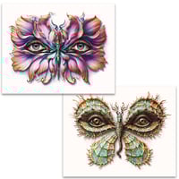 Image 1 of Lepidoptera 18/19 - 2 print set