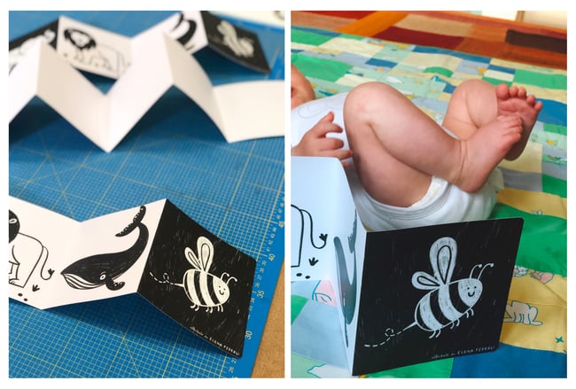 fisarmonica + carte visione neonati 