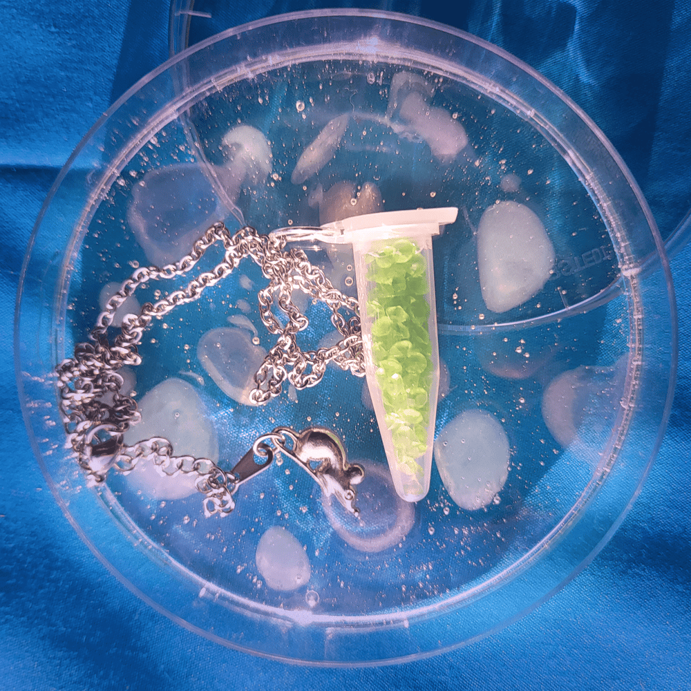 Image of π§ͺ Eppendorf Necklaces π§ͺ