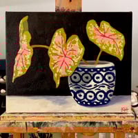 Caladiums + Polish Pottery