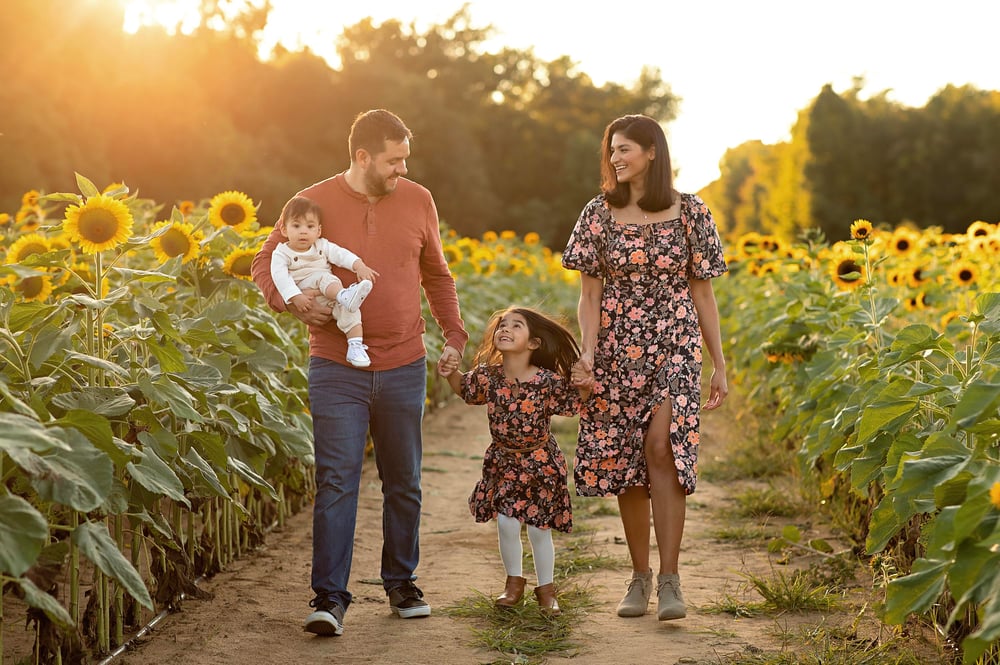 Image of SEPTEMBER 2025 | Sunflower Minis