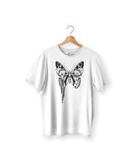 Image 1 of Butterfly and eyes white