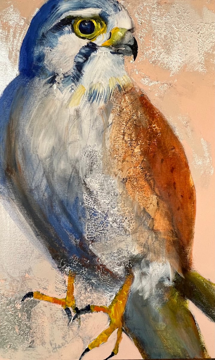 Kestrel Laurfineart