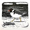 Hooded Plover Australian Shorebird linocut print