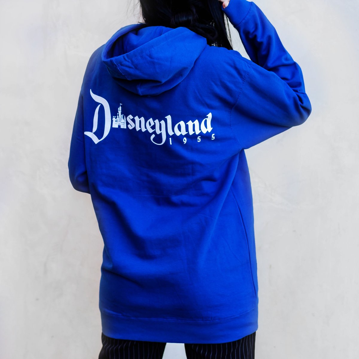 Navy blue disneyland 2024 hoodie