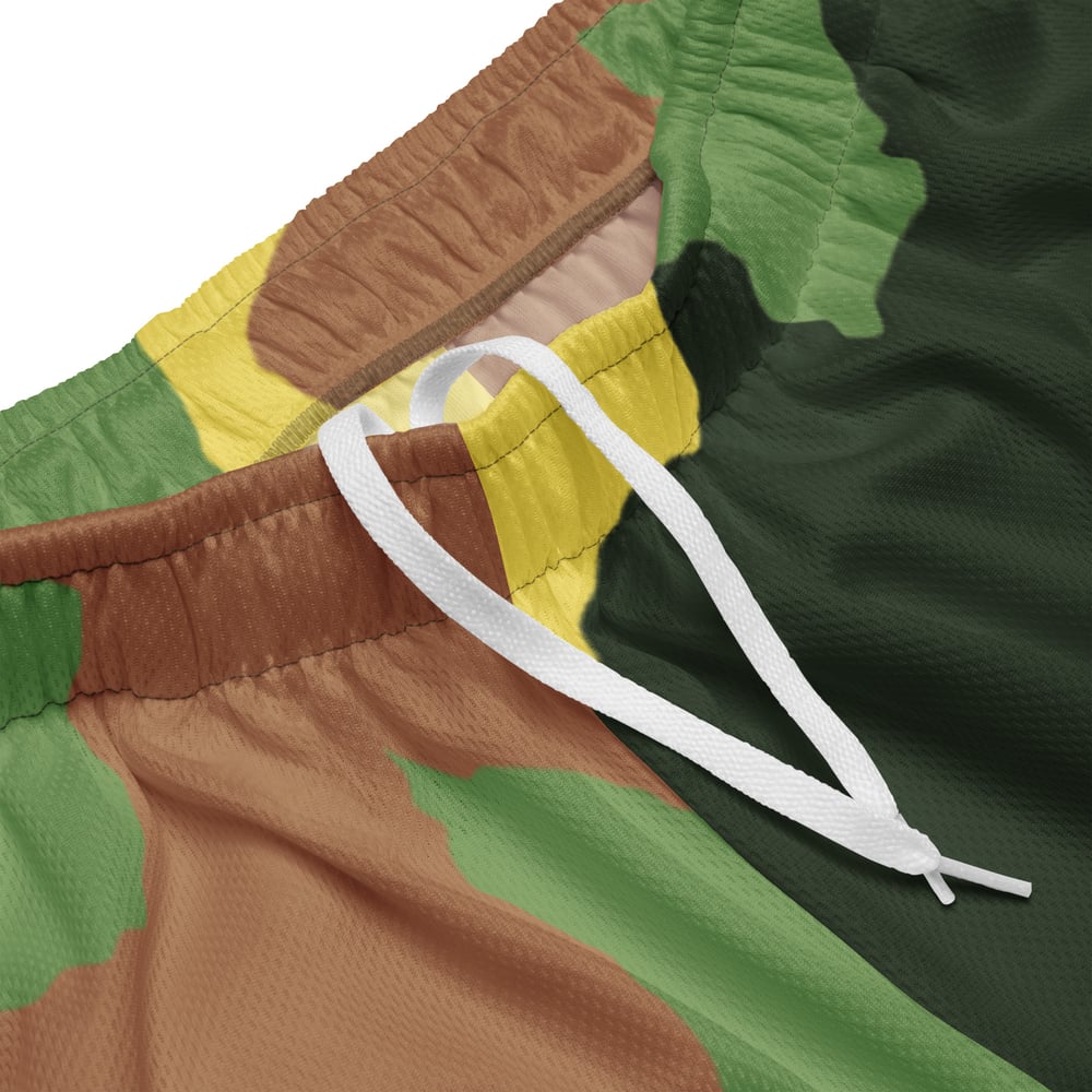 Image of KASH PRO SHOPS MESH SHORTS