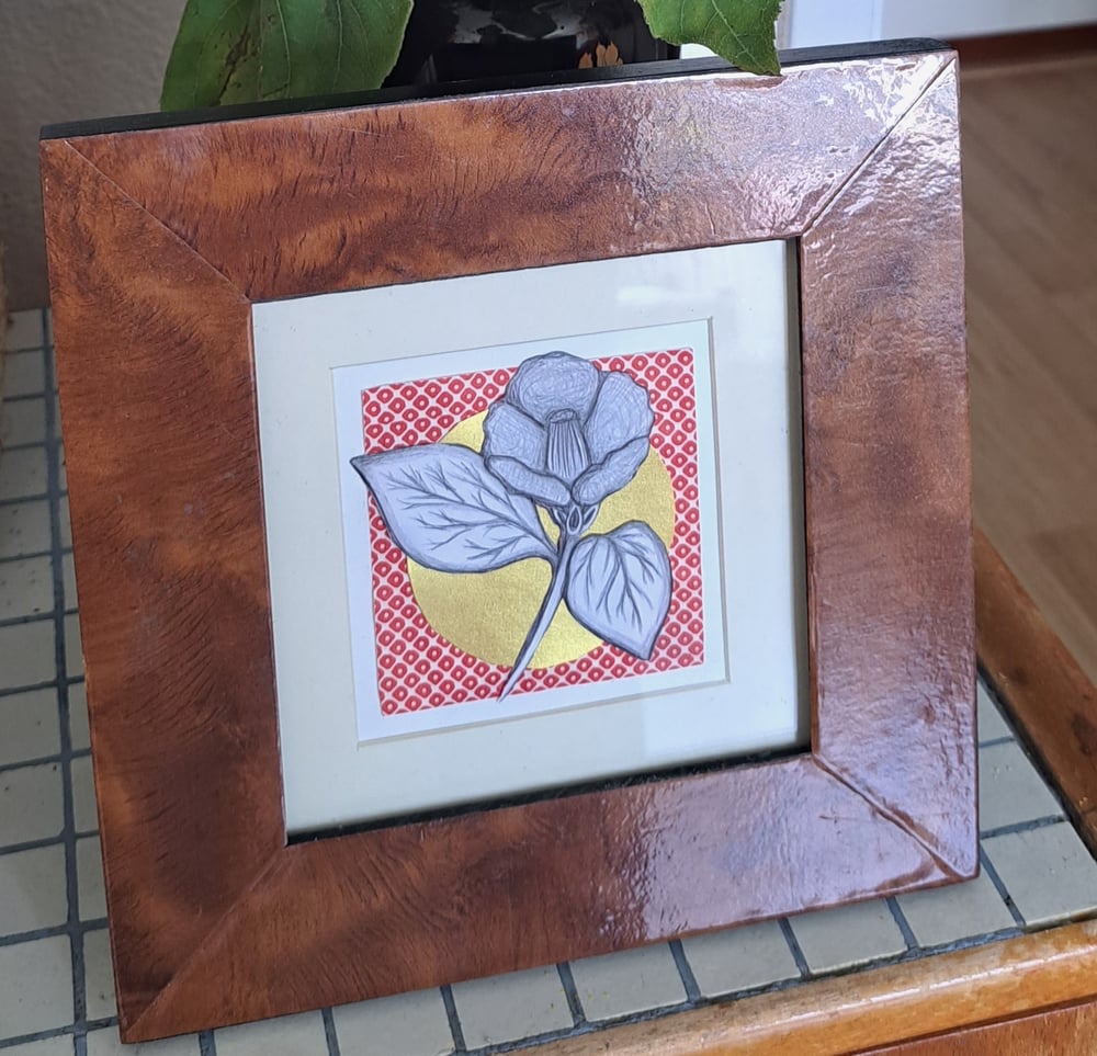 Camellia sasanqua - framed 