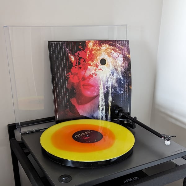 Image of Pictures of Black Holes LP - Limited Edition Vinyl