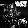 Violation Wound / Ruin Split 7