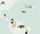 Image of Almost an Animal World Map