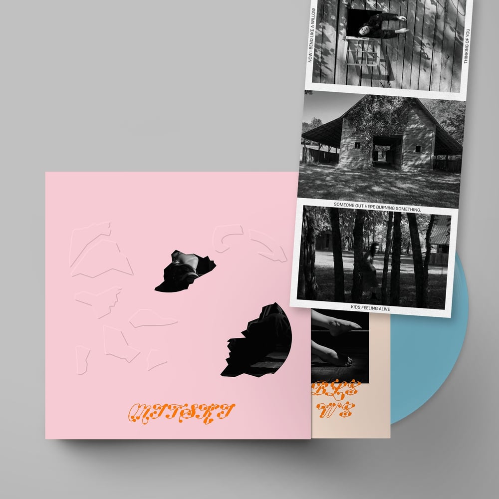 Image of Mitski - The Land Is Inhospitable and So Are We