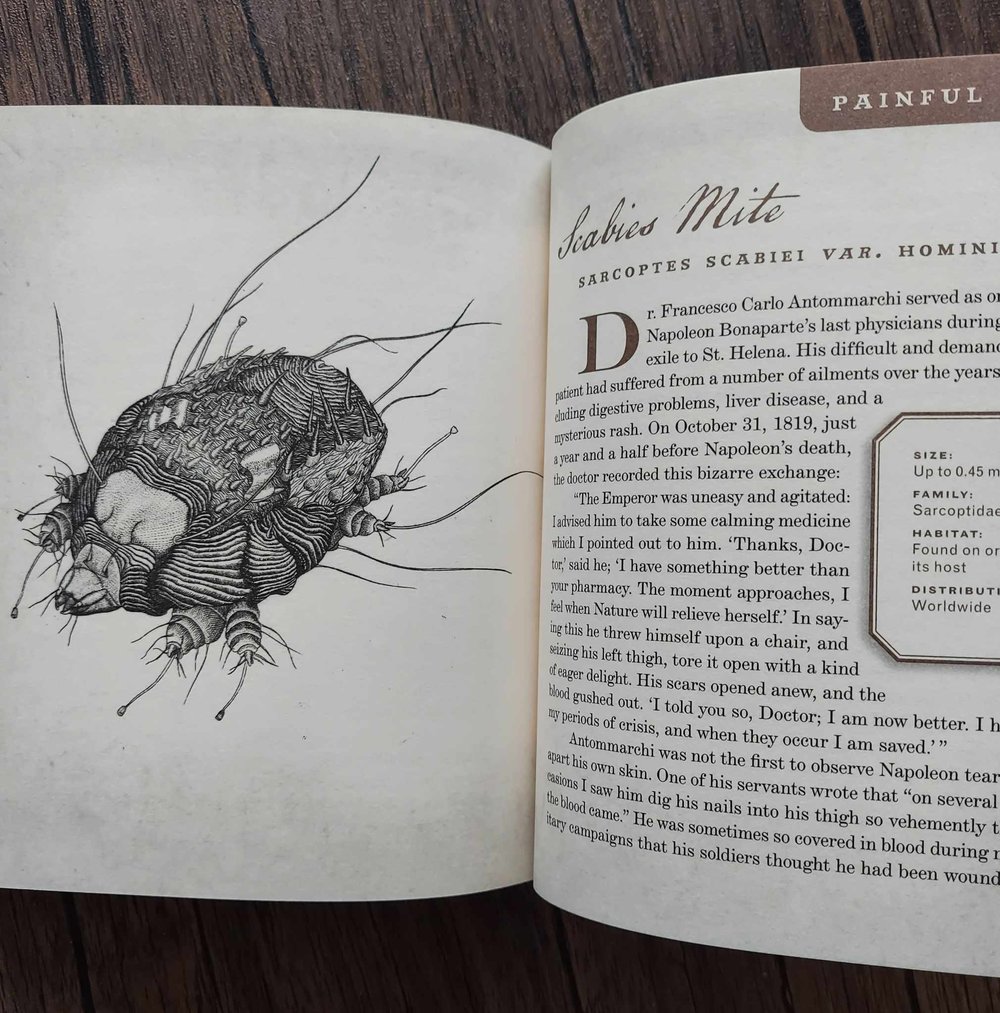 Wicked Bugs: The Louse That Conquered Napoleon's Army & Other Diabolical Insects, by Amy Stewart