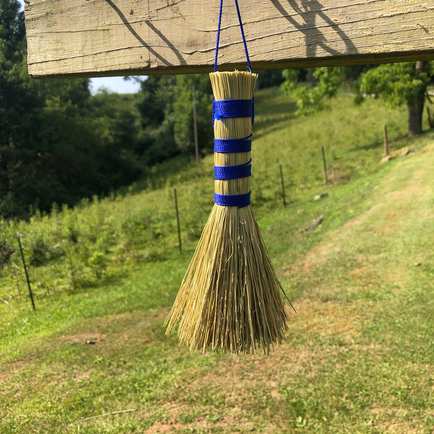 Pot Scrubber – Friendswood Brooms