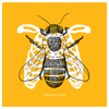 'Full of Bees' 8x8" print