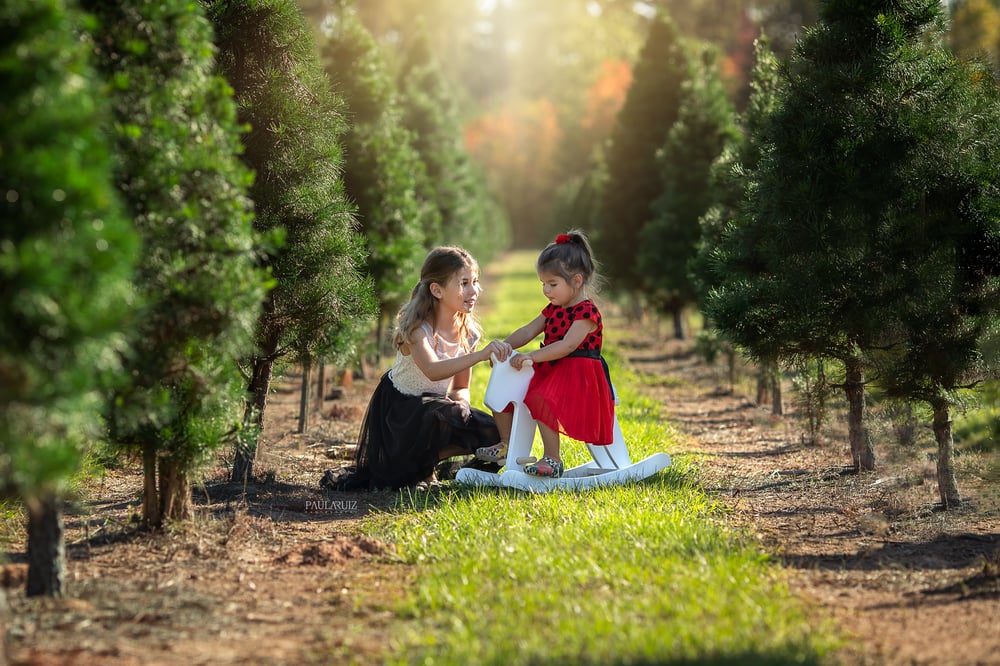 Image of Christmas Mini Sessions 2023 -  Tree Farm