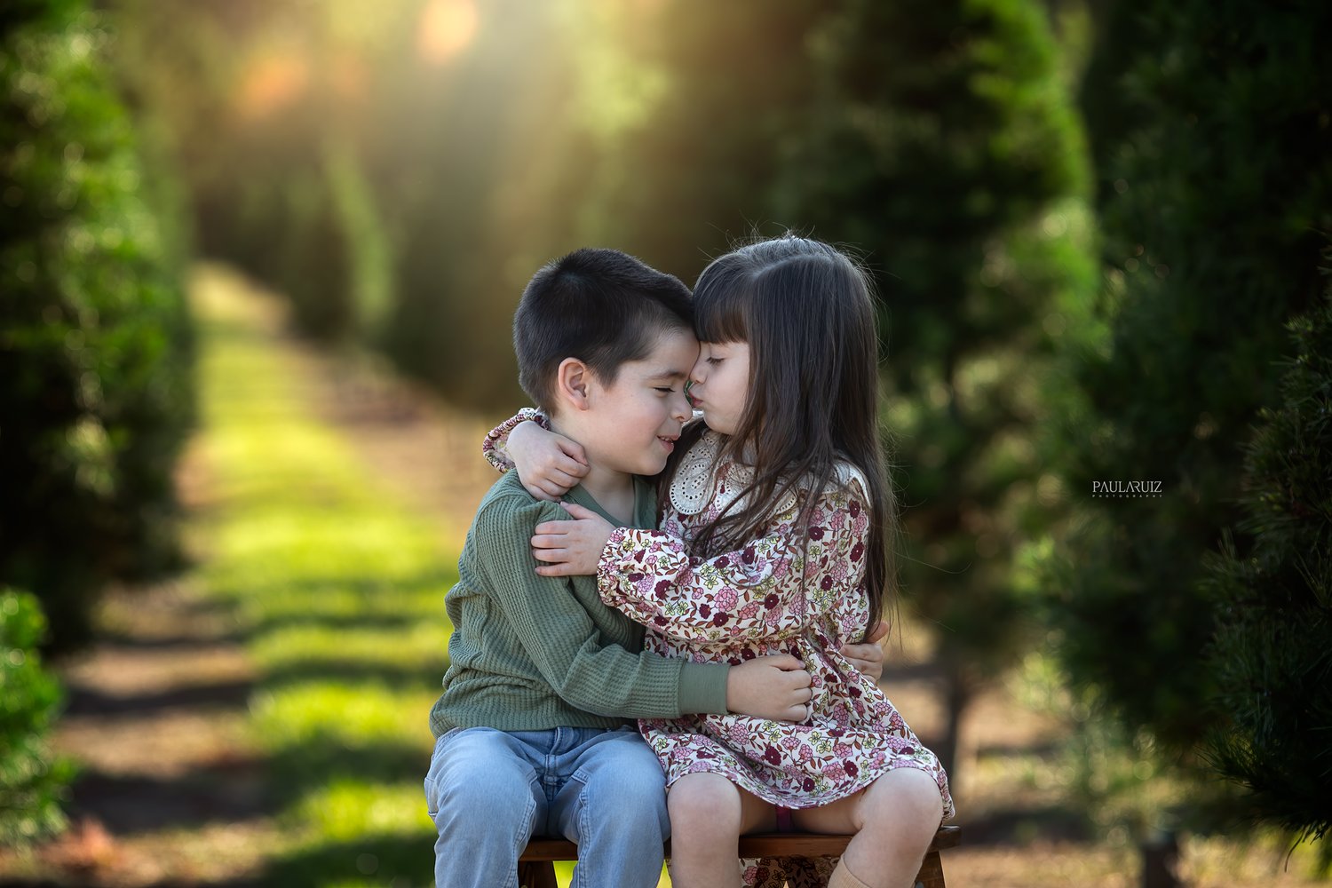 Image of Christmas Mini Sessions 2023 -  Tree Farm