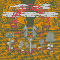 Image 2 of Acid Rooster -  Flowers and Dead Souls (Cardinal Fuzz) Green & Orange Inkspot REPRESS 3 LEFT