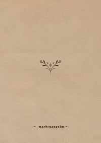 Image 2 of Breast Ornament IV