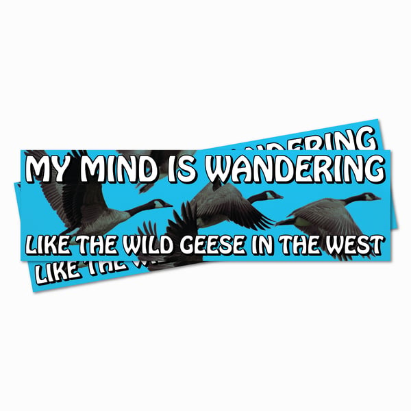 Image of Wild Geese bumper sticker (2 pack, ships free)