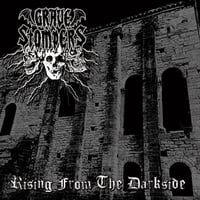 Image 1 of GRAVE STOMPERS - RISING FROM THE DARKSIDE (LP)