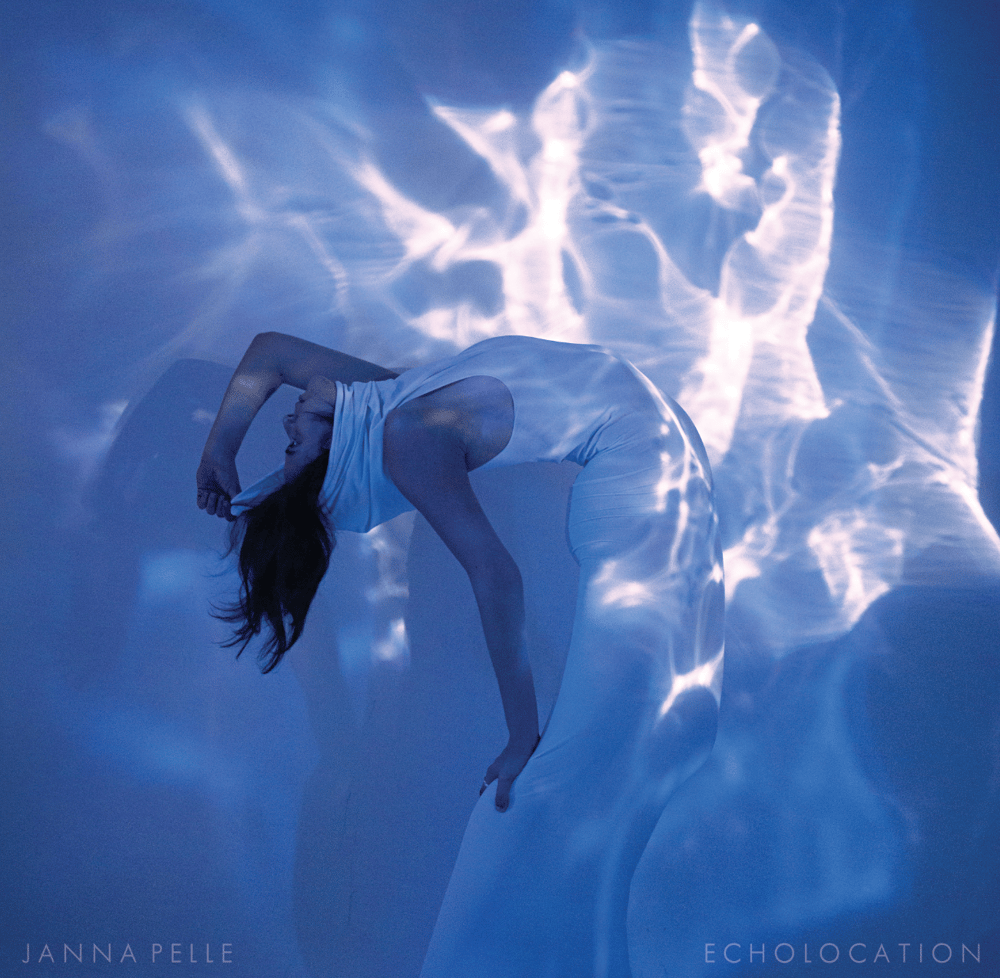 Image of ECHOLOCATION - VINYL (DOUBLE LP)