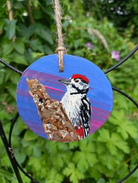 Image 3 of Woodpecker wood slice