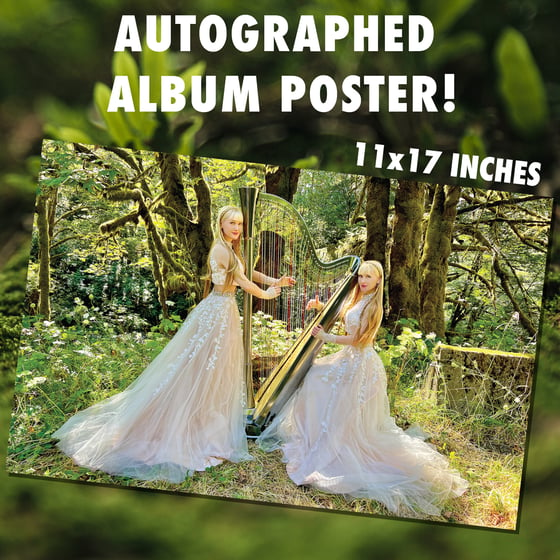 Image of *NEW* Harp Fantasy 3 - Album Poster